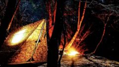 道志の森キャンプ場でDDハンモック泊！ソロキャンプですき焼きを作りました