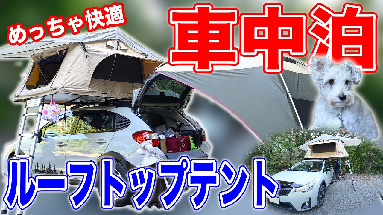 ルーフトップテントで快適車中泊キャンプ オガワのカーサイドタープやワンちゃん用アイテムも登場 タナちゃんねる ブログ