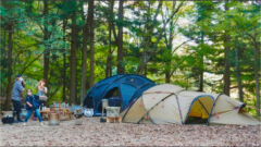 【ファミリーキャンプ道具24選】愛犬と楽しむキャンプスタイル！大型ドームテントやおしゃれなギアをご紹介！